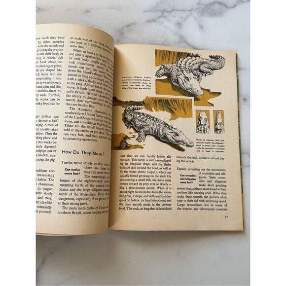 How & Why Wonder Reptiles & Amphibians vintage educational children’s book Curat - Picture 6 of 7